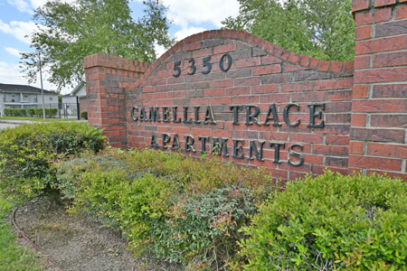 Camellia Trace-1-signage-1415-1200w